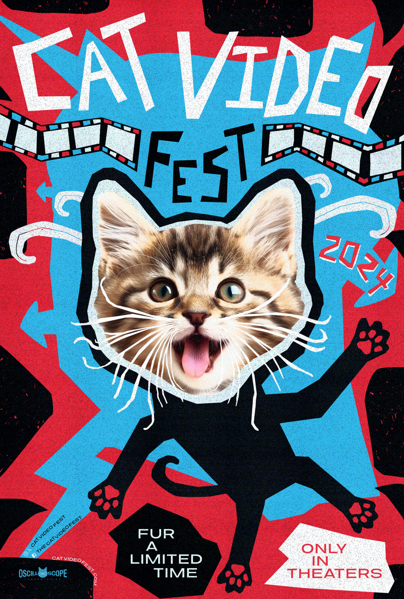 CatVideoFest 2024 Making You Laugh for Kitties in Need The Mountains