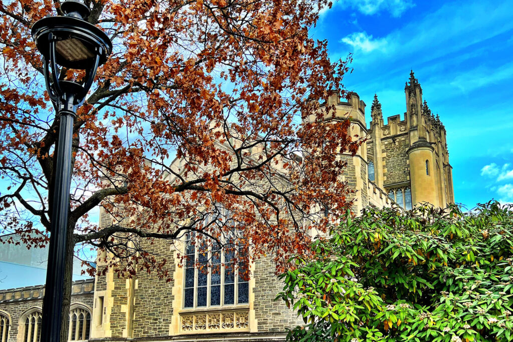 From The Editor: Trees