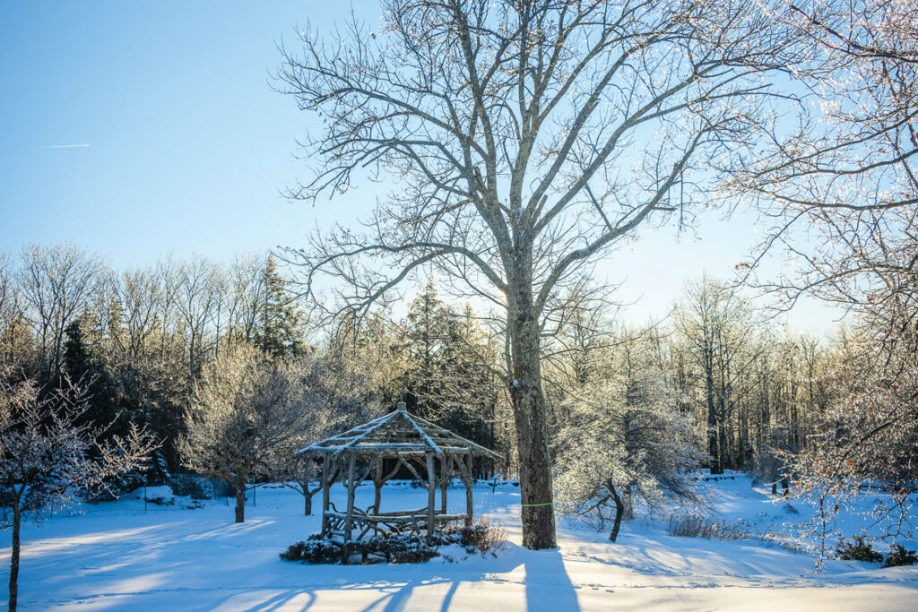 Spotlight: Not-So-Secret Garden